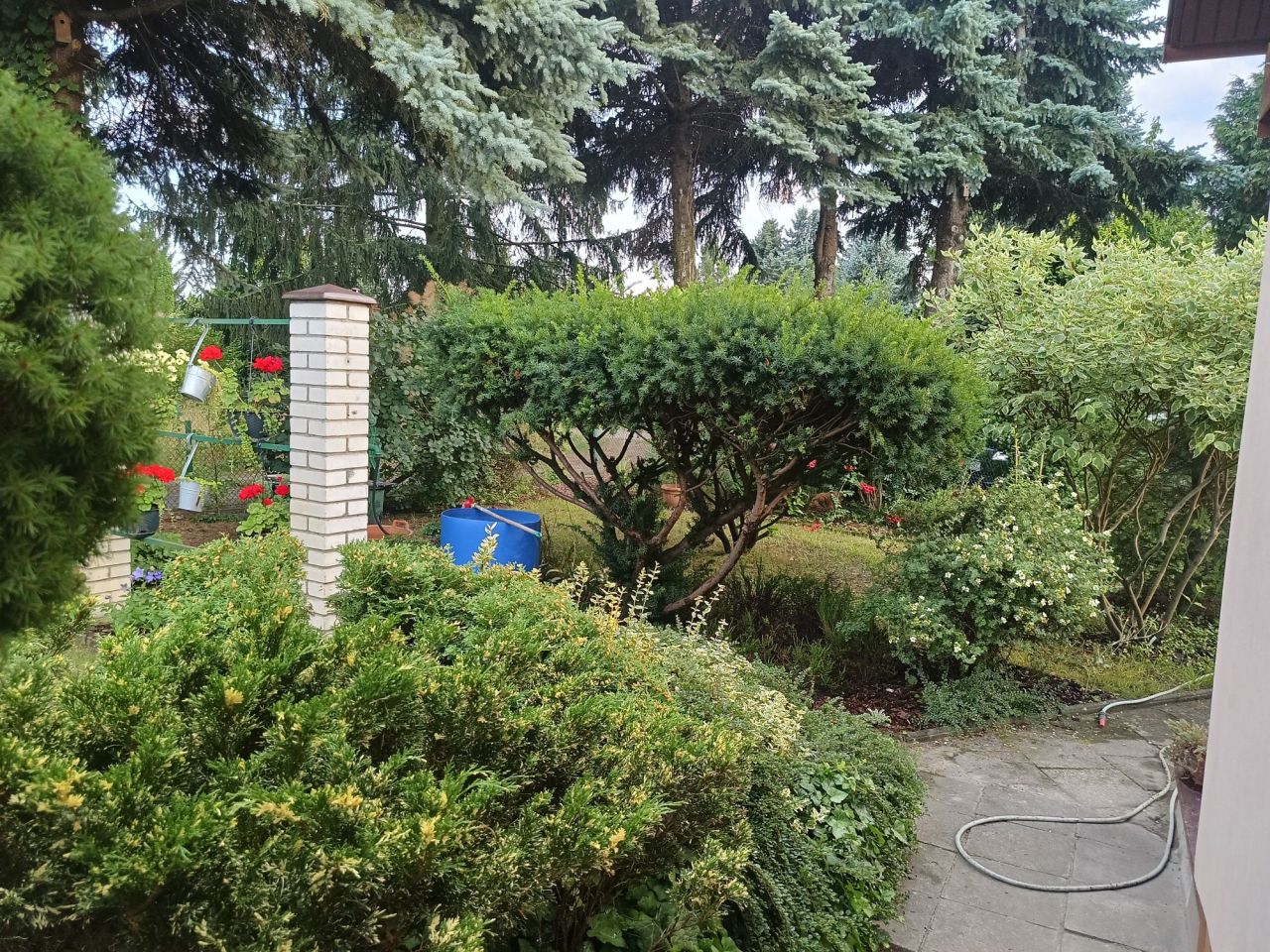 Działka rod Jaryszki. Zdjęcie 8