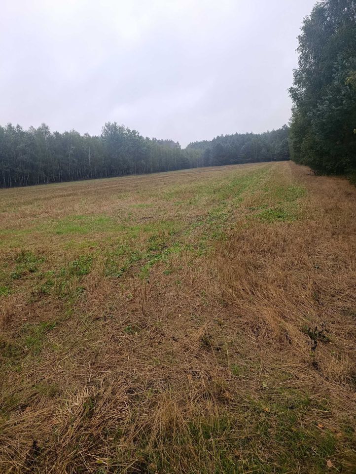 Działka budowlana Radoszyna. Zdjęcie 1