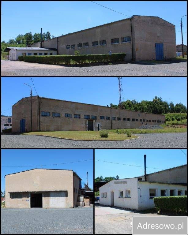 Hala/magazyn Karpniki, ul. Turystyczna. Zdjęcie 2
