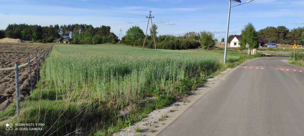 Działka budowlana Ostrowitko. Zdjęcie 6