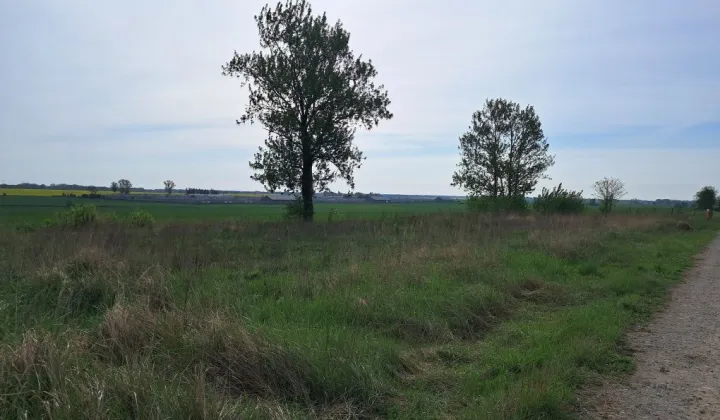 Działka budowlana Witkowo Pierwsze