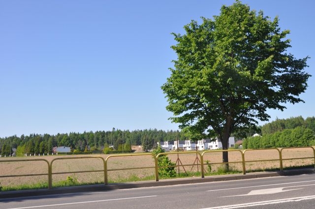 Działka inwestycyjna Bolesławice, ul. Słupska. Zdjęcie 1