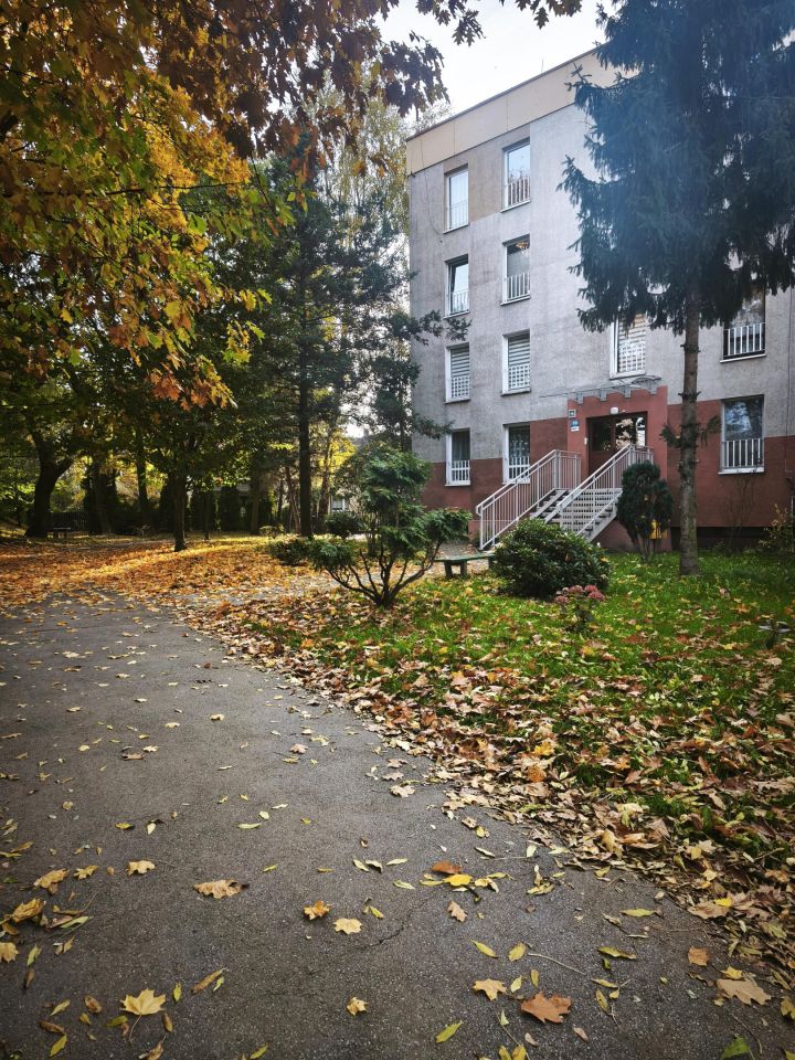 Mieszkanie 2-pokojowe Mysłowice Ćmok, ul. Stokrotek. Zdjęcie 2