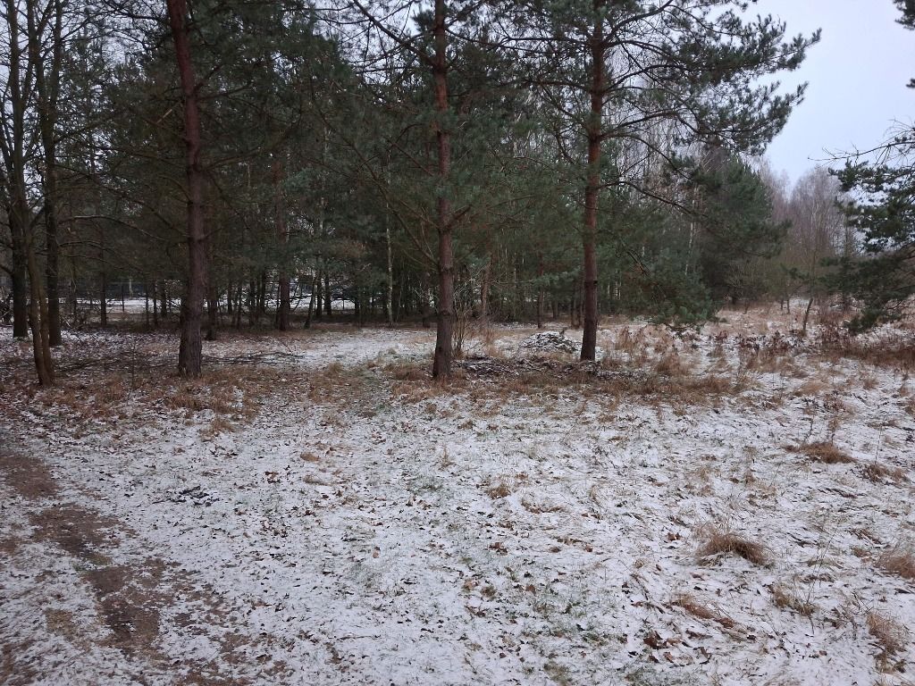 Działka rolna Stanisławów. Zdjęcie 5