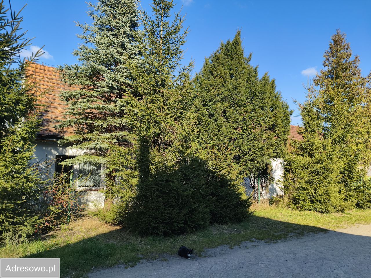 dom wolnostojący, 5 pokoi Dębno. Zdjęcie 12