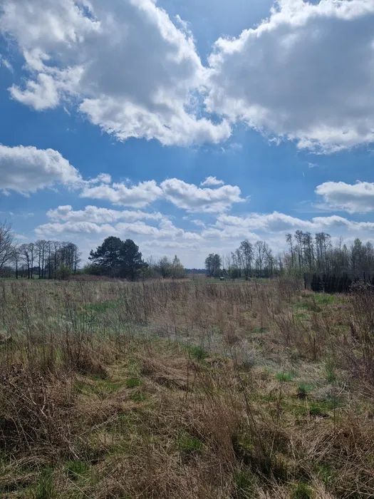 Działka budowlana Chełmce. Zdjęcie 3