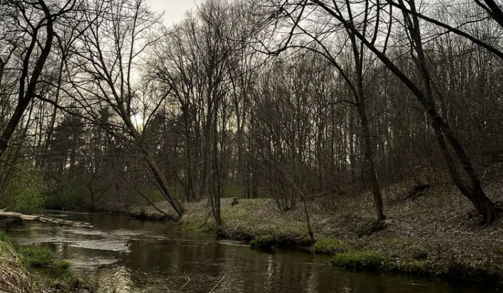 Działka leśna Jastrząb
