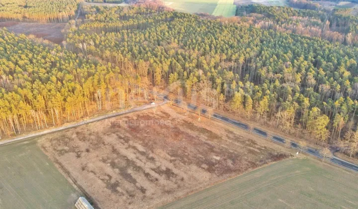 Działka inwestycyjna Ostrowina
