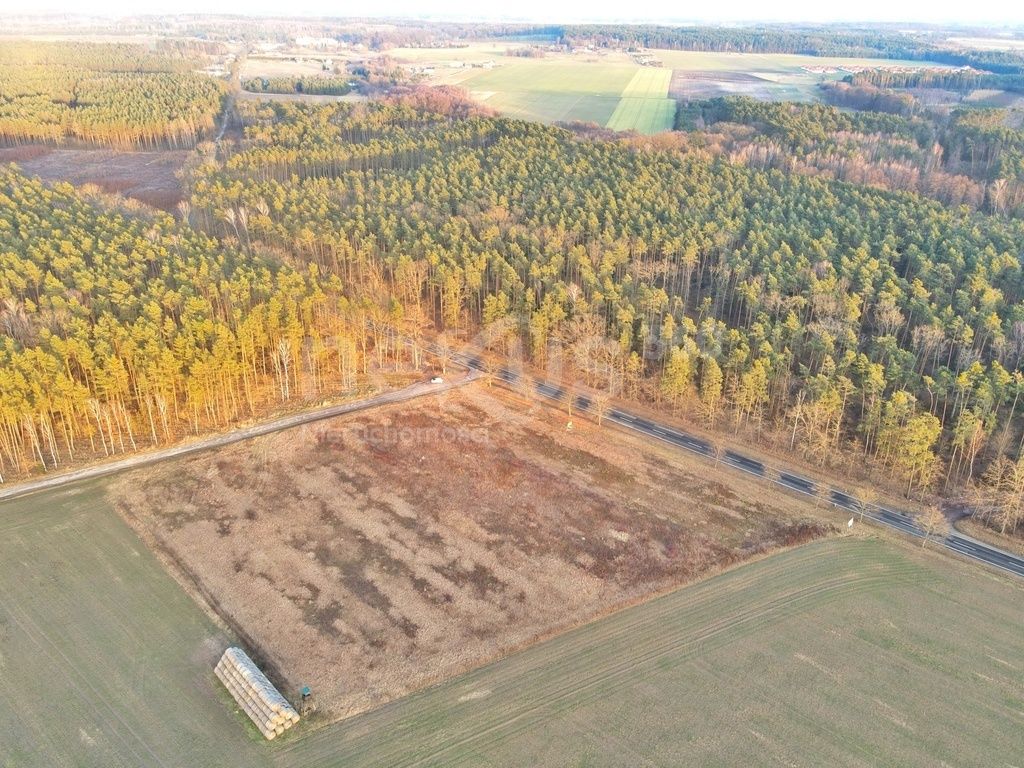 Działka inwestycyjna Ostrowina. Zdjęcie 1
