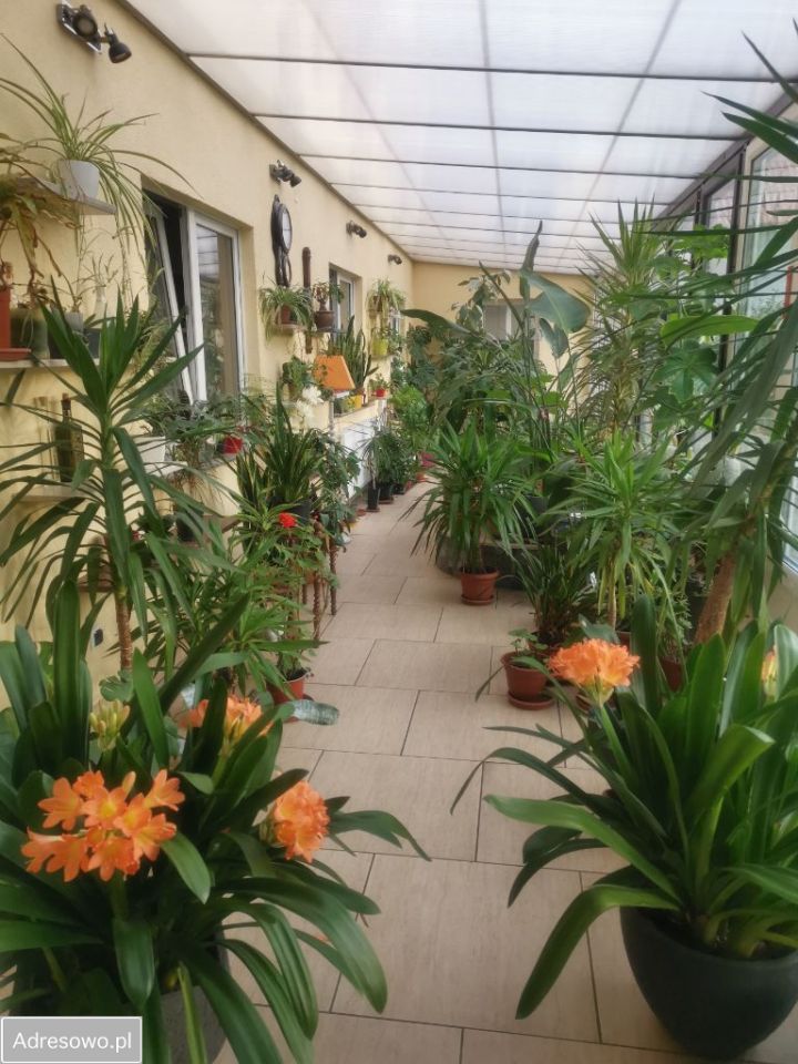 Lokal Żagań, ul. Piłsudskiego. Zdjęcie 10