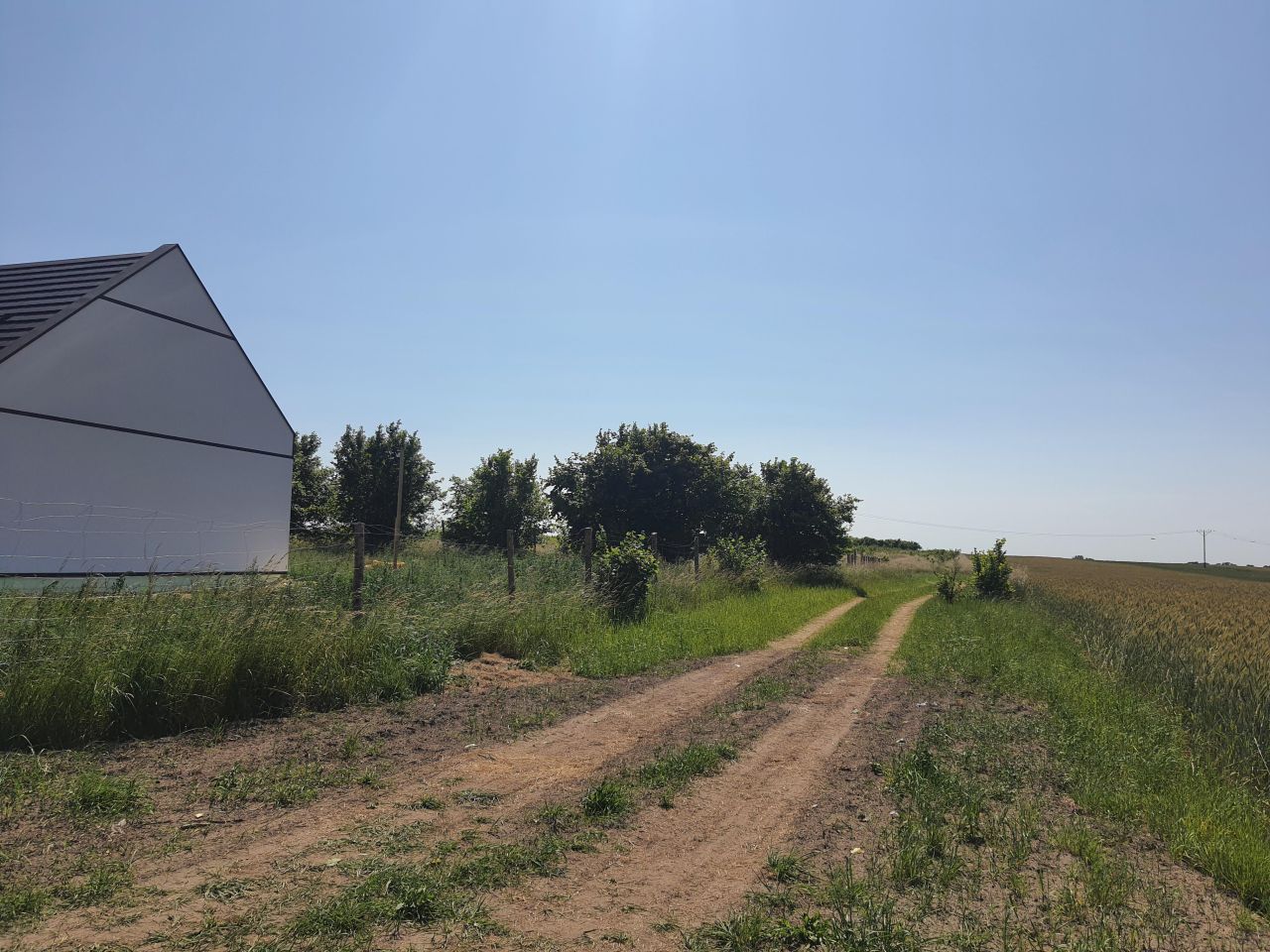 Działka rolno-budowlana Witkowo Drugie, ul. Czereśniowa. Zdjęcie 2