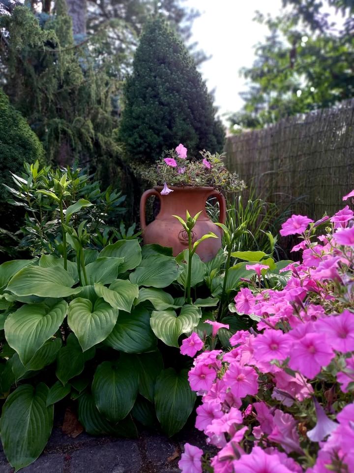 Działka rod Niewodnica Kościelna, ul. Działkowców. Zdjęcie 18