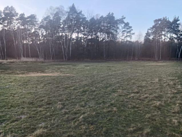 Działka inwestycyjna Lędziny. Zdjęcie 1