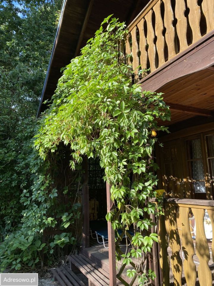 dom wolnostojący, 3 pokoje Śladów. Zdjęcie 10