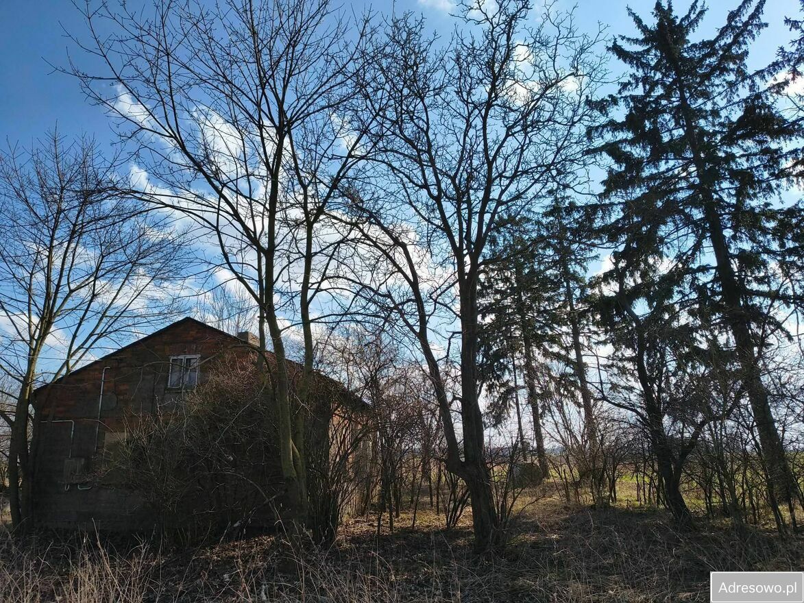 siedlisko, 3 pokoje Łubki. Zdjęcie 10