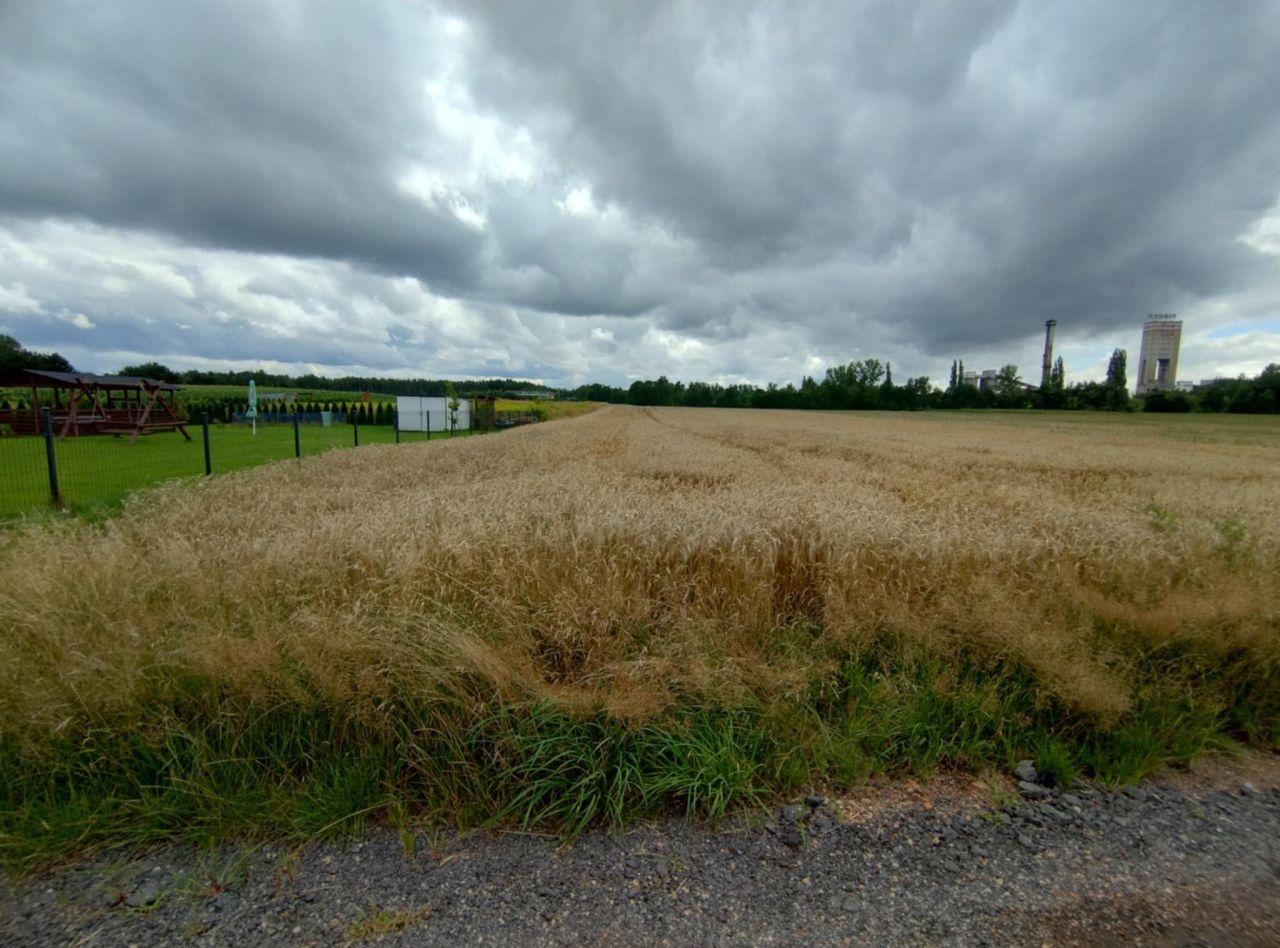 Działka budowlana Wola