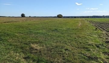 Działka rolna Eliaszówka