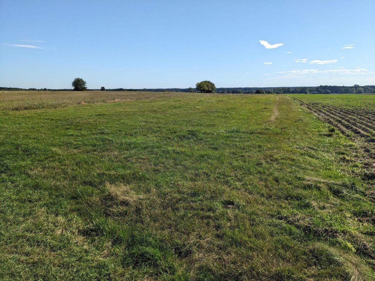 Działka rolna Eliaszówka. Zdjęcie 2