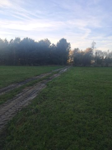 Działka budowlana Dzierzbin. Zdjęcie 5