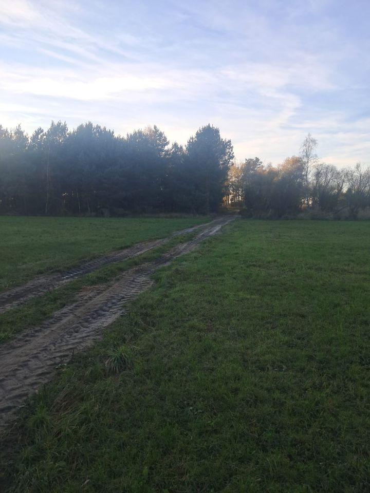 Działka budowlana Dzierzbin. Zdjęcie 5