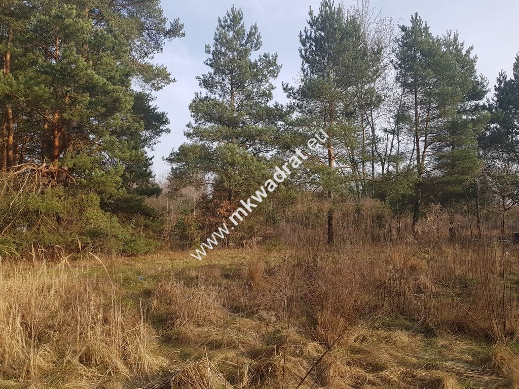 Działka budowlana Bieniewiec. Zdjęcie 7