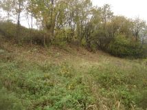 Działka rolna Błażowa Miasto, ul. Jagiellońska. Zdjęcie 2