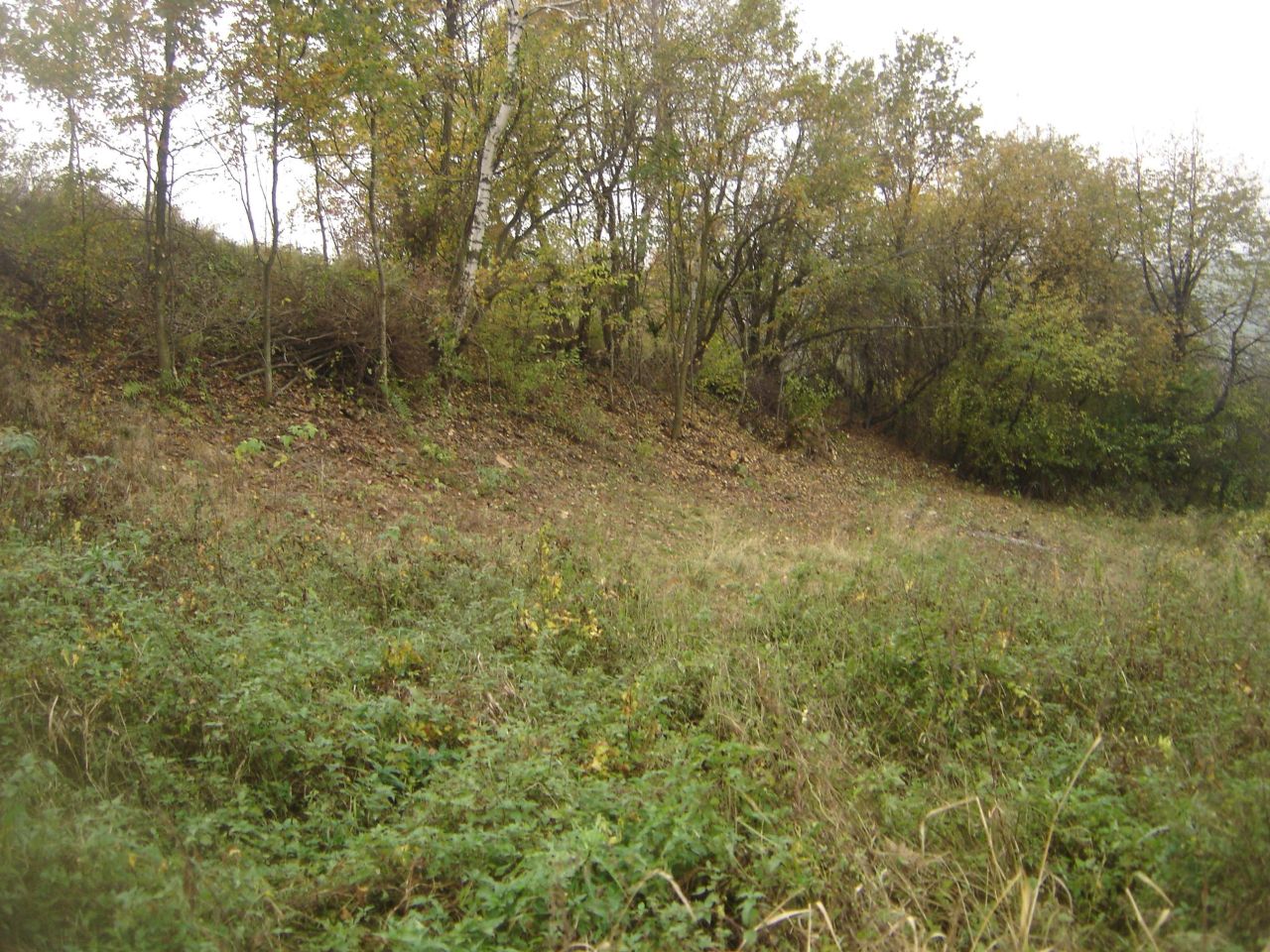 Działka rolna Błażowa Miasto, ul. Jagiellońska. Zdjęcie 3