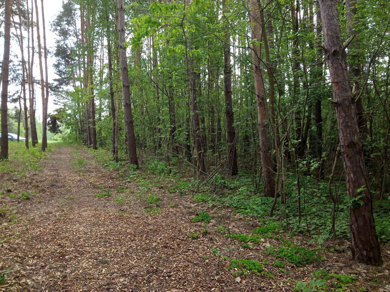 Działka budowlana Bieniewiec, ul. Barwna. Zdjęcie 3