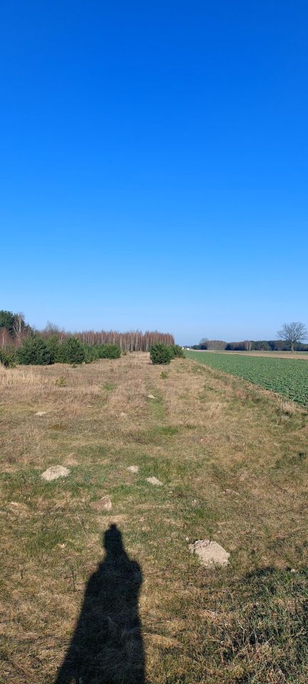 Działka rolno-budowlana Cegielnia Psucka. Zdjęcie 6