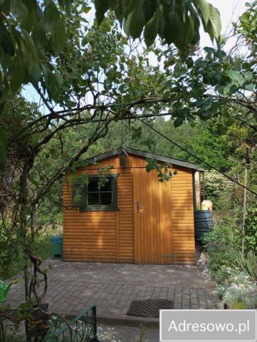 Działka rod Rypin, ul. Spokojna. Zdjęcie 1