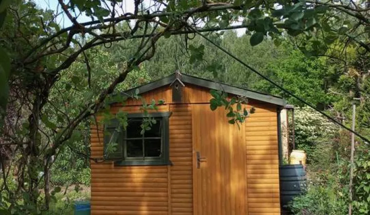 Działka rod Rypin, ul. Spokojna