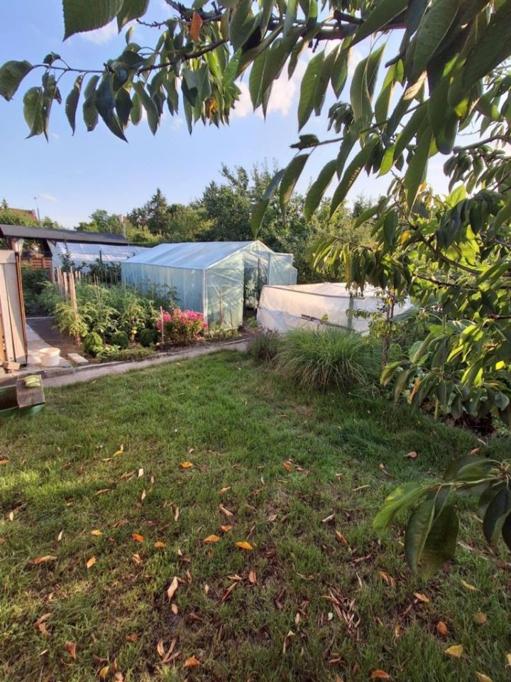 Działka rod Ostrowiec Świętokrzyski, ul. Marii Dąbrowskiej. Zdjęcie 8