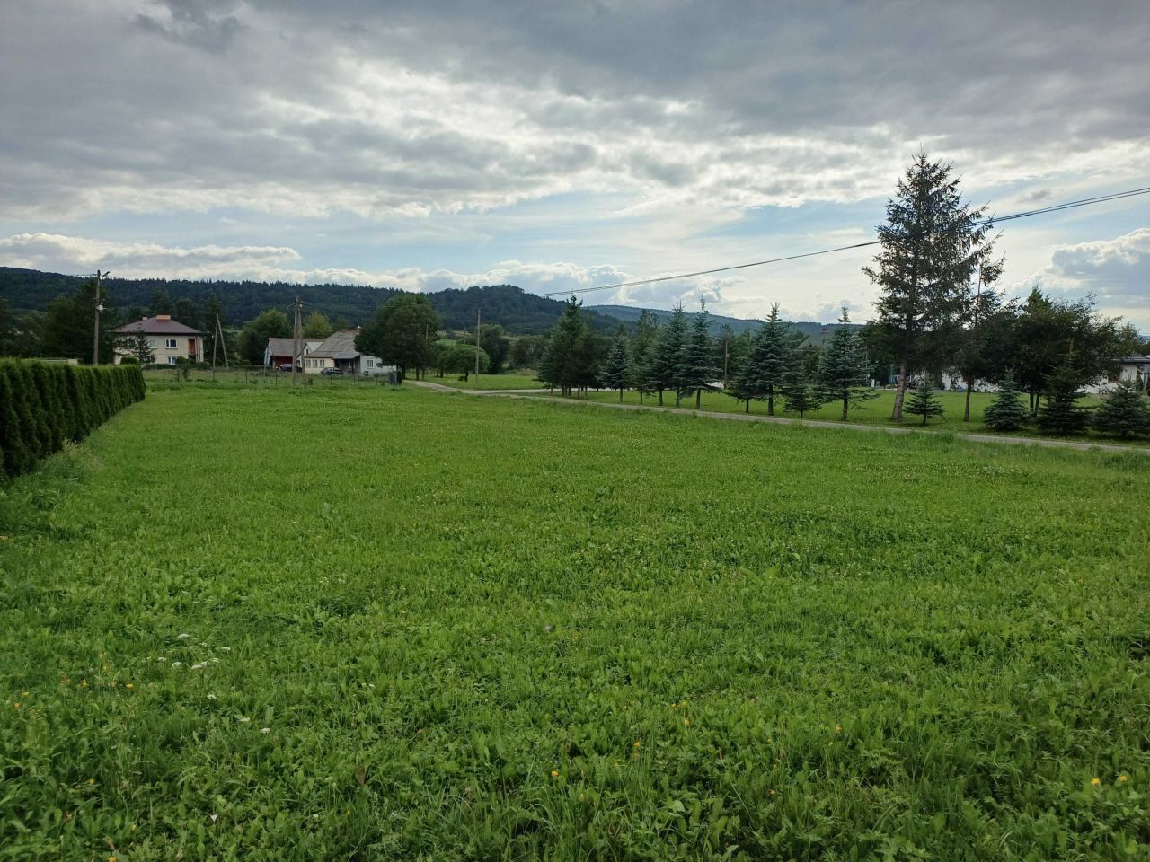 Działka siedliskowa Jasionka. Zdjęcie 6