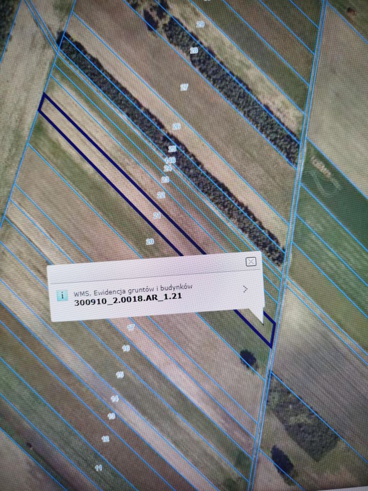 Działka rolna Osiek Mały-Kolonia, .. Zdjęcie 1