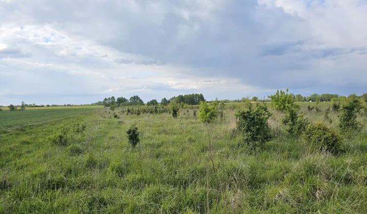 Działka rolno-budowlana Łubienica