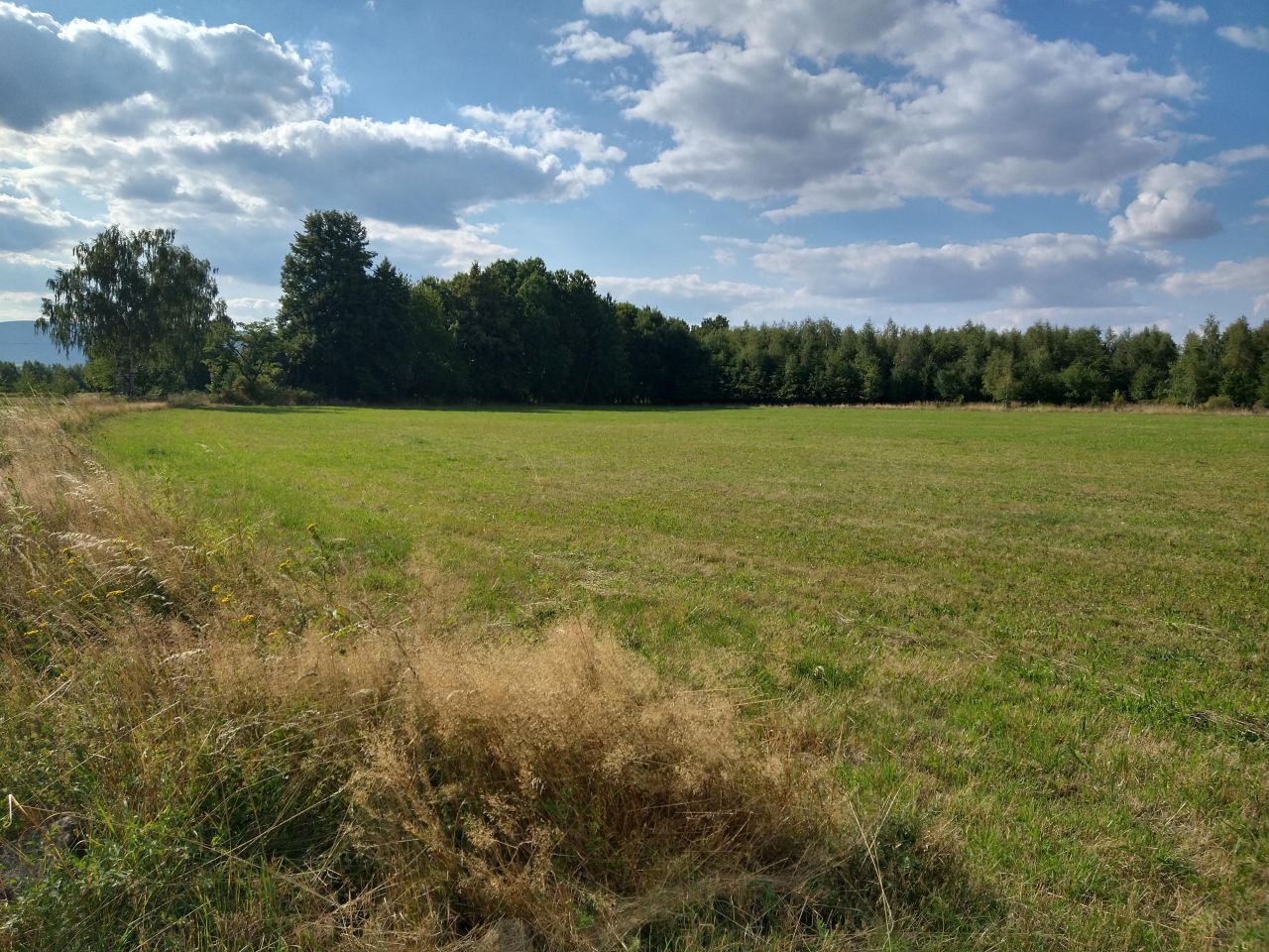 Działka budowlana Międzygórze. Zdjęcie 5