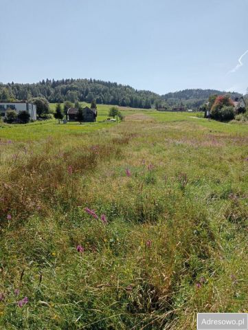 Działka budowlana Gilowice. Zdjęcie 1