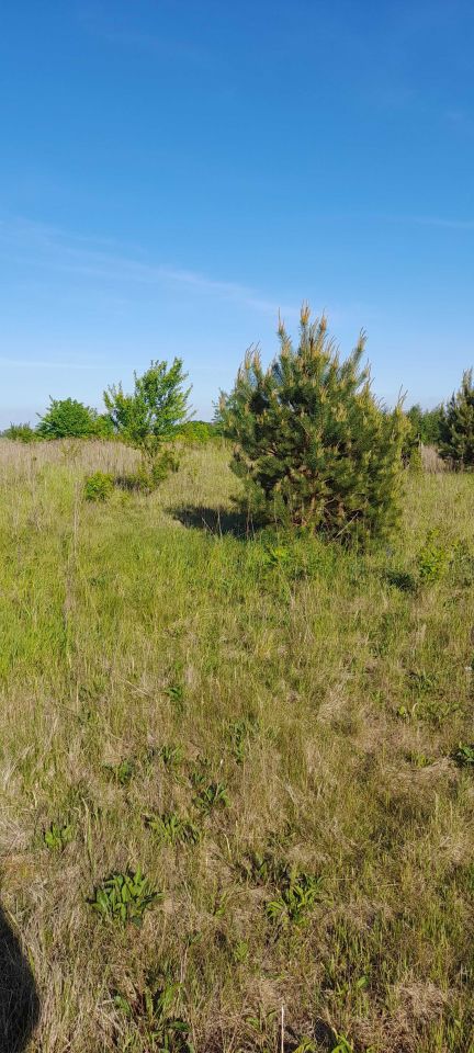 Działka budowlana Bielkówko, ul. Wyżynna. Zdjęcie 6