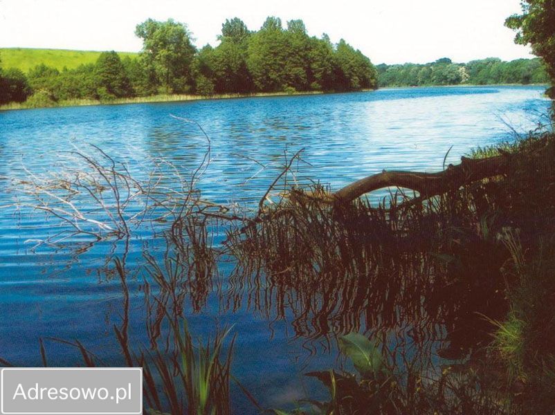 Działka budowlana Niedźwiedź. Zdjęcie 5