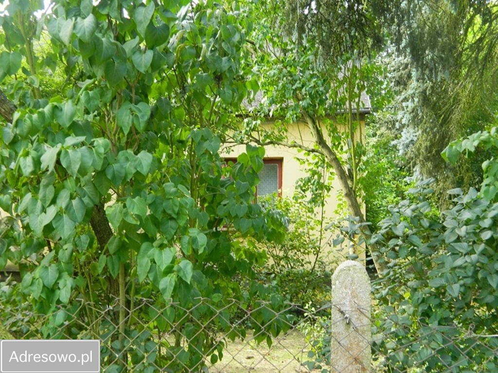 dom wolnostojący, 3 pokoje Mława, ul. Ceglana. Zdjęcie 20