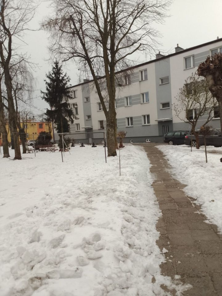 Mieszkanie 1-pokojowe Dobrzyń nad Wisłą. Zdjęcie 5