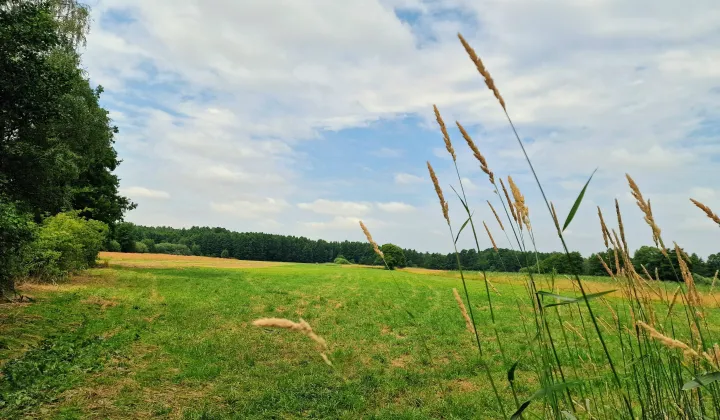Działka rolno-budowlana Ciosny