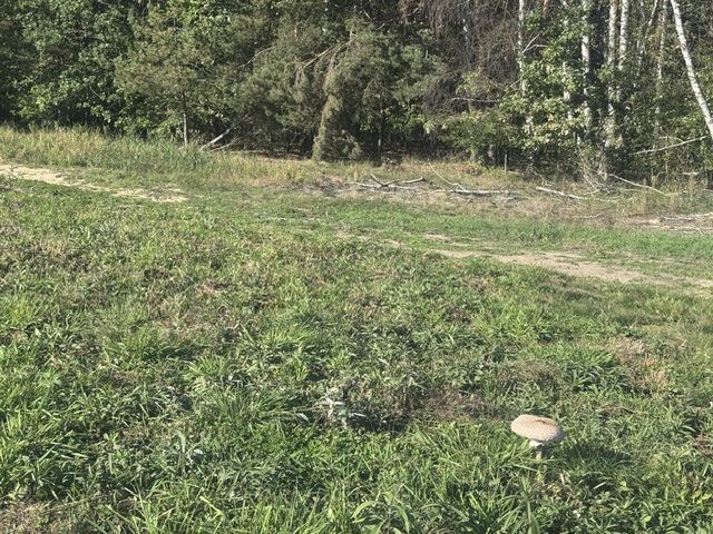 Działka budowlana Otwock. Zdjęcie 9