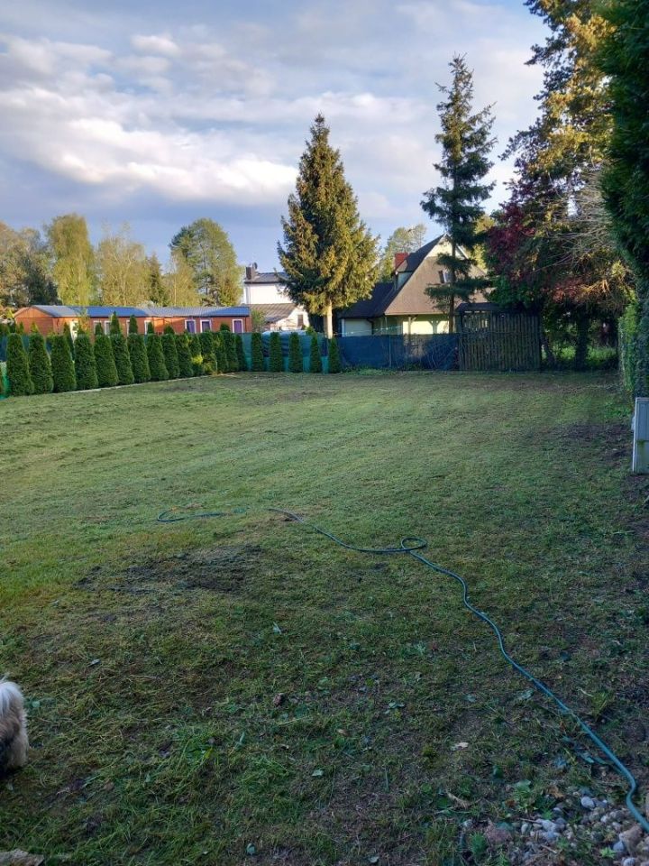 Działka Wieleń, ul. Dojazdowa. Zdjęcie 2