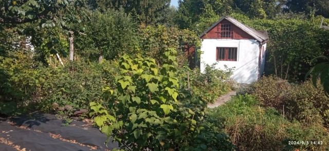 Działka rod Wrocław Krzyki, ul. Wilcza. Zdjęcie 1