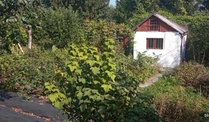 Działka rod Wrocław Krzyki, ul. Wilcza