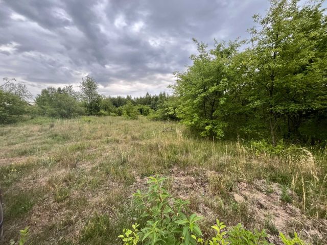 Działka budowlana Nieporęt. Zdjęcie 1