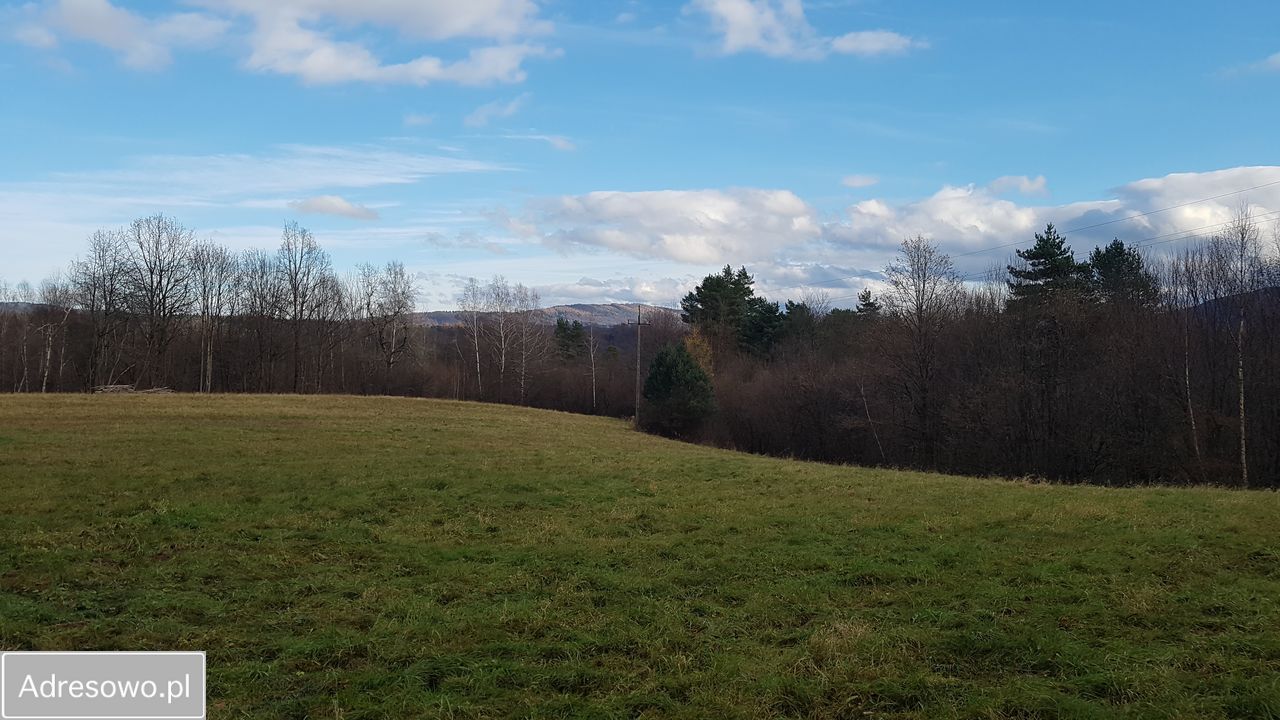 Działka inwestycyjna Bóbrka. Zdjęcie 10