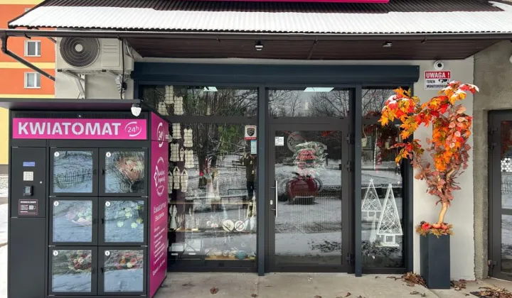 Lokal Kraków, ul. Aleksandry