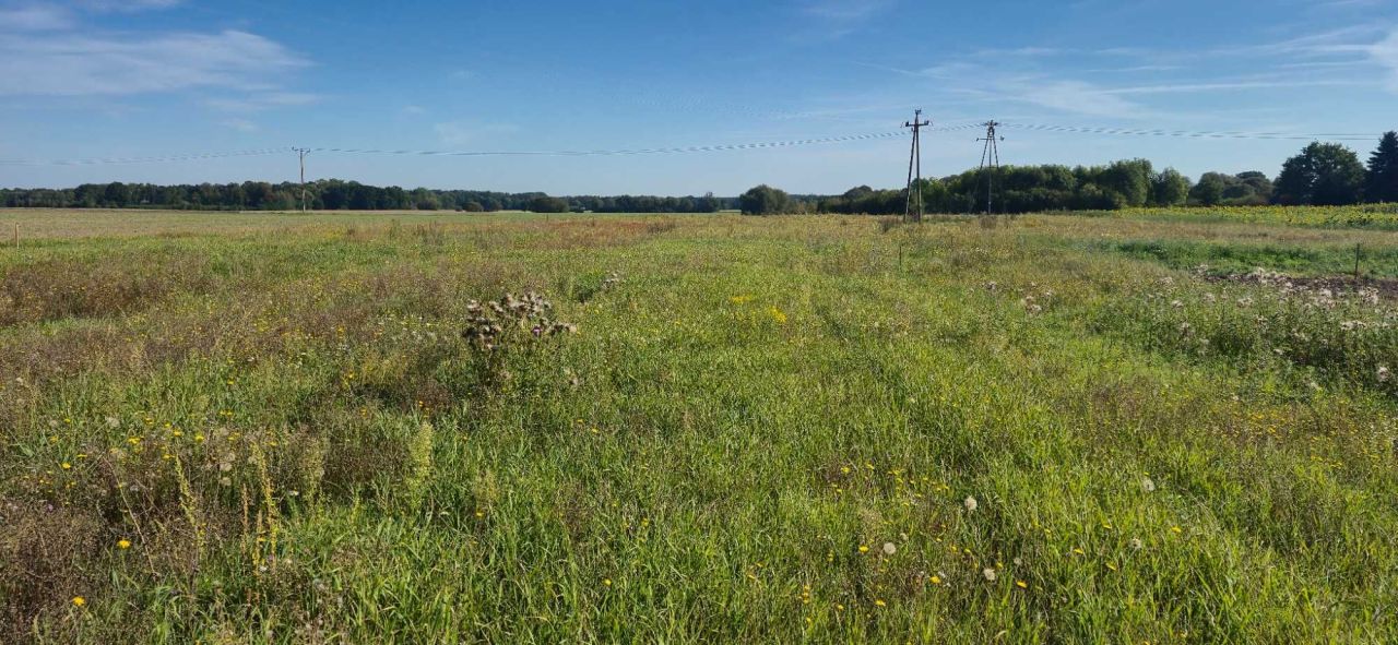 Działka budowlana Szczaniec. Zdjęcie 5